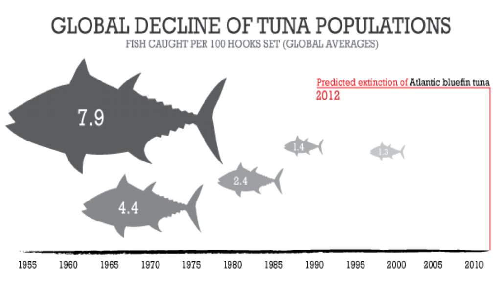 Image courtesy of Animal Life : http://animalia-life.club/openphoto.php?img=http://newenglandbluefintuna.com/wp-content/uploads/2014/01/Tuna-Decline.png